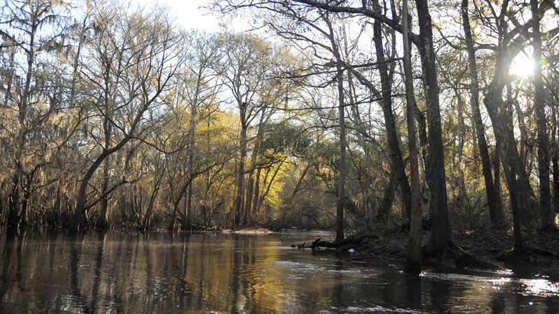 Santa Fe River photo