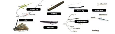 Bass Fishing Rigs