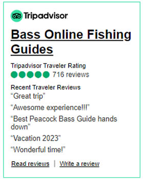 Bass Fishing Reviews from TripAdvisor