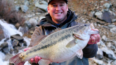 Spotted bass vs largemouth bass