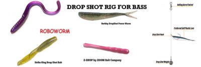Drop Shot Rig for Bass: Setup, Tying and How to Fish It