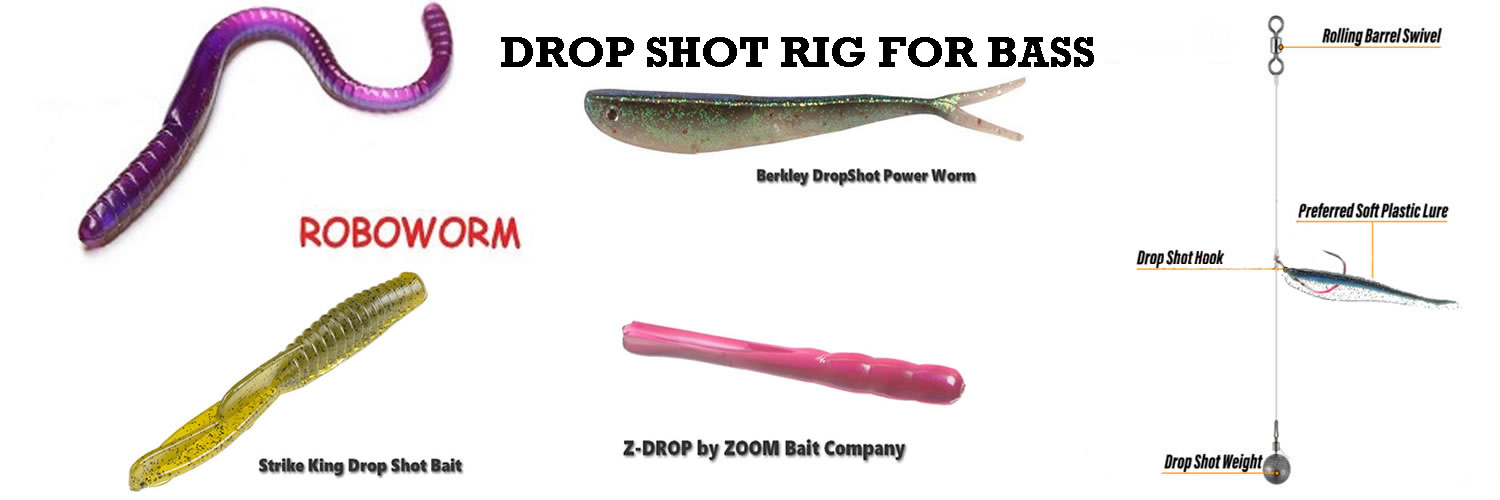 Drop shot rig for bass