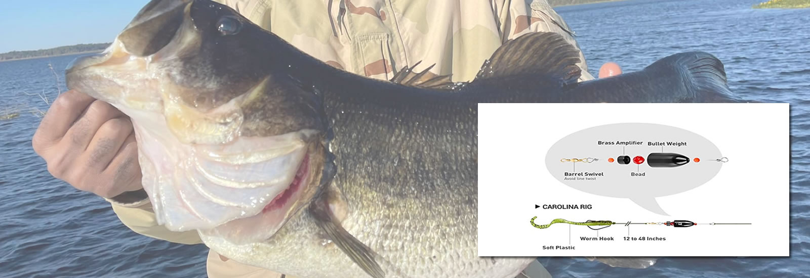 The Carolina Rig for Bass Fishing: Is It a Superior Choice? 1 Carolina Rigs for Bass