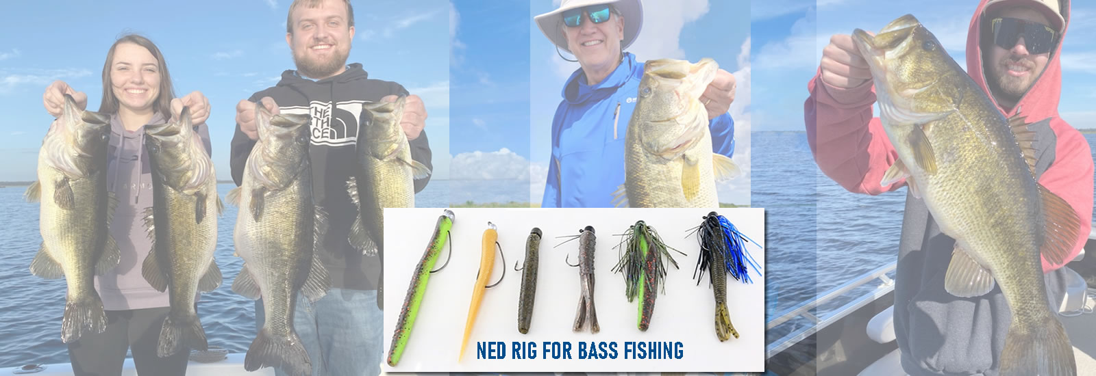 NED RIG FOR BASS FISHING