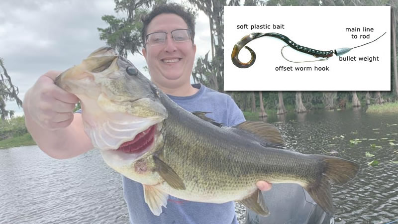 Texas Rigs for Bass Fishing