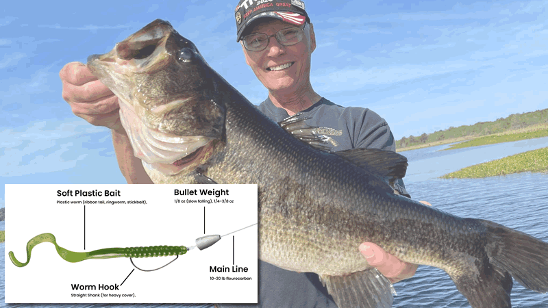 Best Texas Rig for Bass Fishing