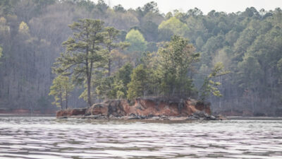 Lake Martin