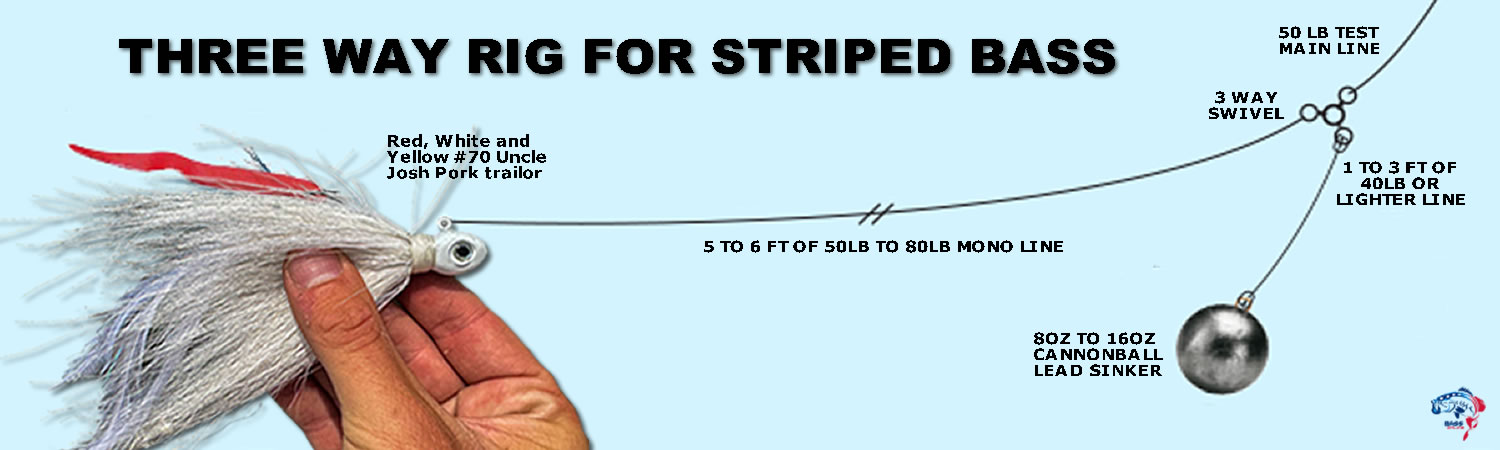 Striped Bass Rig 1 Striped Bass Rig -RIGS FOR STRIPED BASS