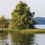 Pickwick Lake thumbnail