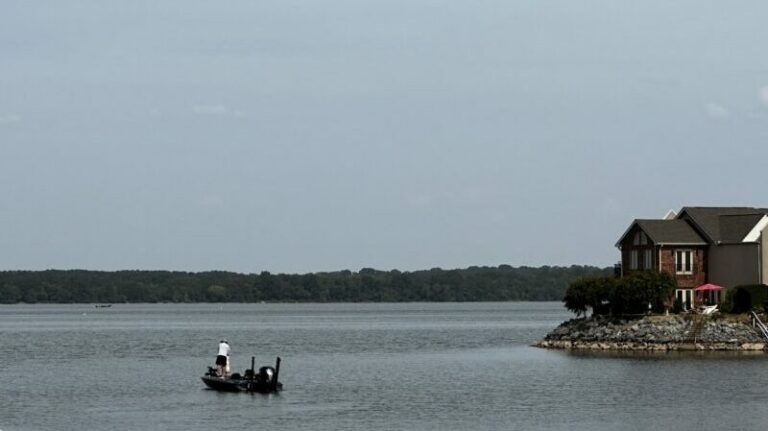 Pickwick Lake Alabama - Lake Pickwick Smallmouth Bass