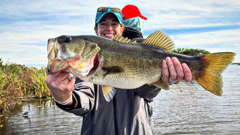 Headwaters Lake Bass Fishing Tours