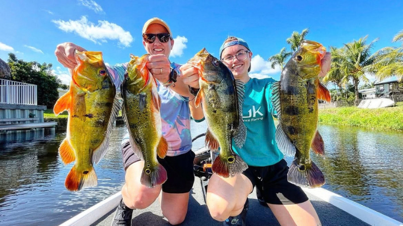 Lake Ida Bass Fishing Tours