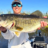 Lake Okeechobee Bass Fishing Tours