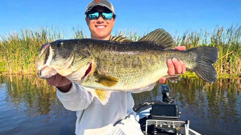 Lake Okeechobee Bass Fishing Tours