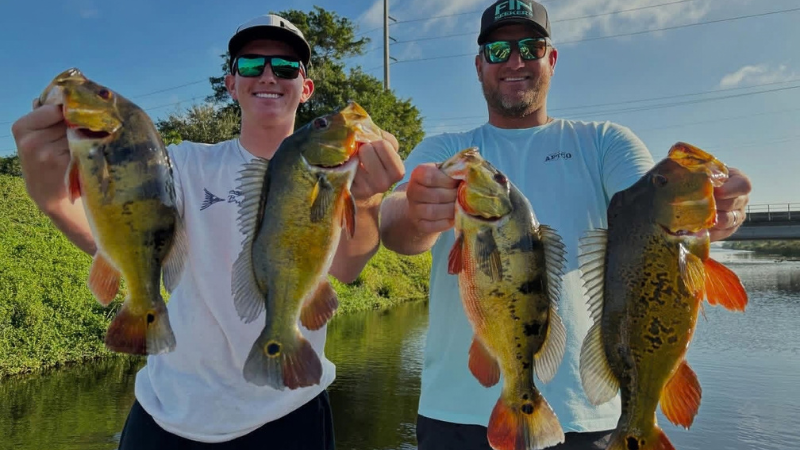 South Florida Peacock Bass Fishing