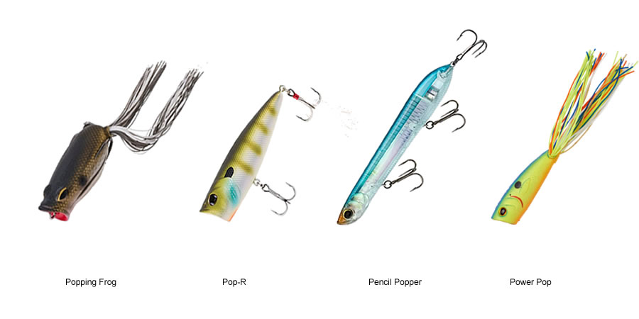 Top 5 Best Florida Bass Lures for Your Next Fishing Adventure 5 A popper lure creating ripples on the water surface