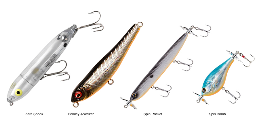 Top 5 Best Florida Bass Lures for Your Next Fishing Adventure 2 A topwater frog lure floating on the water surface