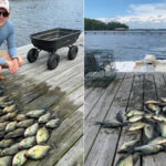 Lake Harding thumbnail