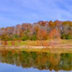 Lake Wappapello thumbnail