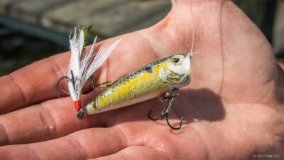 Potomac River lures