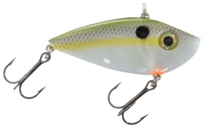 Lipless crankbait fishing in Olives Shad color