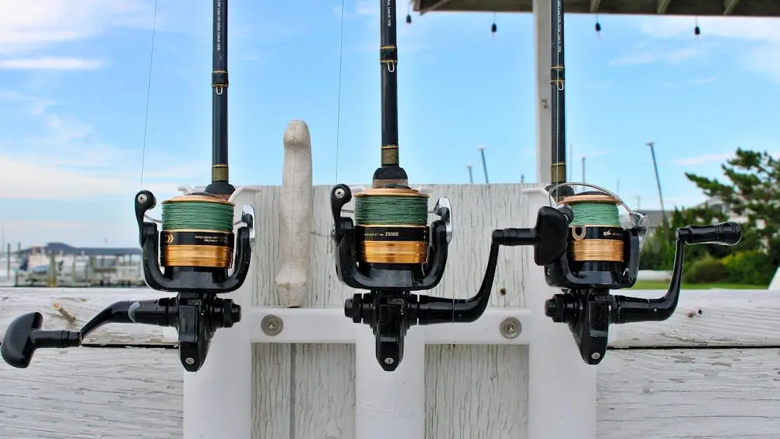 Fishing rods set up on dock under blue sky for What to Bring on a Bass Fishing Charter