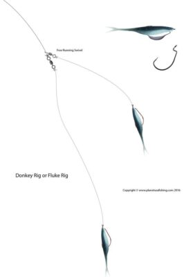 Double Fluke Rig for Big Bass