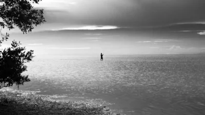 Bank Fishing for Bass: Shore Strategies That Find Fish