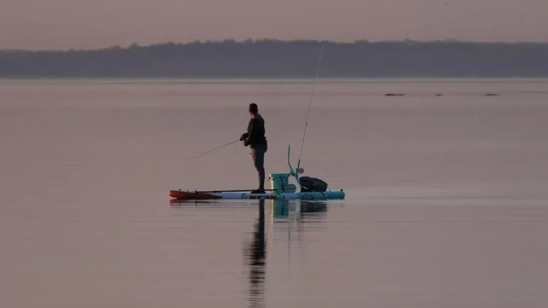 Fisherman on a paddleboard at sunrise, sharing Lake Eustis bass fishing tips.