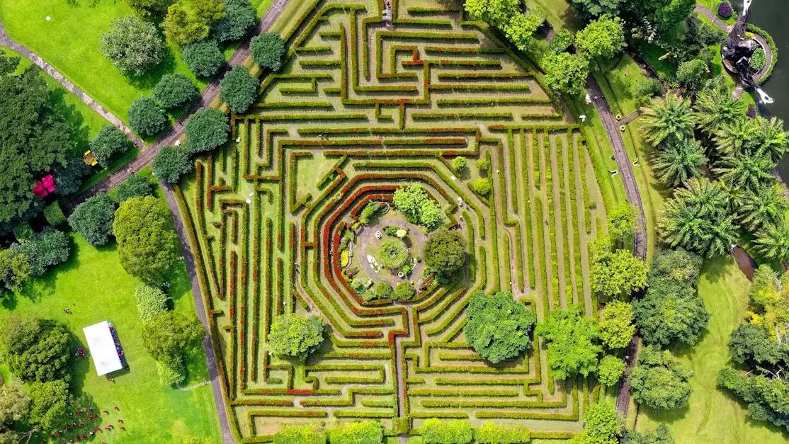 Intro to BFS: How to Master Breadth-First Search Easily 1 Maze garden illustrating intro to BFS algorithm, lush greenery in Sukaresmi, Indonesia