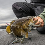 Truman Lake thumbnail