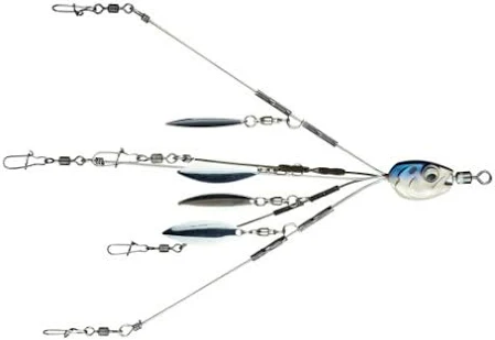 Mastering the Alabama Rig: A Beginner's Guide to Success
