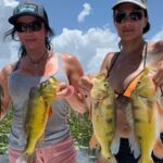 Alligator Alley 41 thumbnail