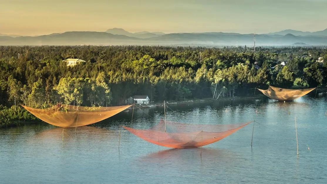 12 Must-Know St Johns River Fishing Tips for Anglers 1 Angler casting net at sunset on St Johns River, ideal scene for St Johns River fishing tips.