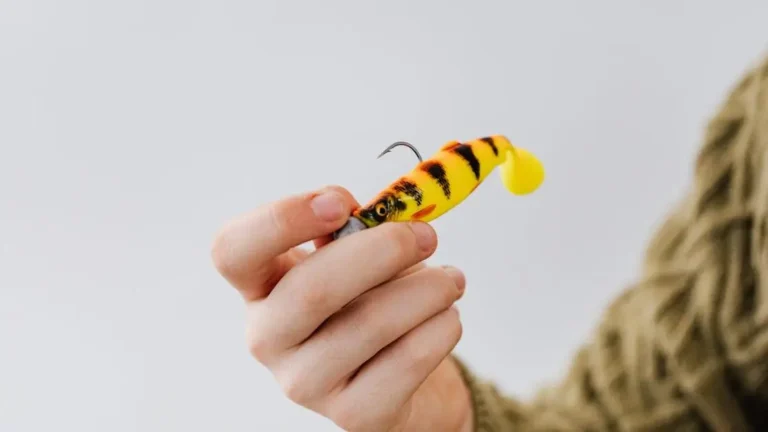 12 Wacky Rig Bass Fishing Secrets Every Angler Should Know 4 Angler holding wacky rig lure, revealing bass fishing secrets for improved catch success.