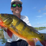 Peacock Bass Fishing Charters
