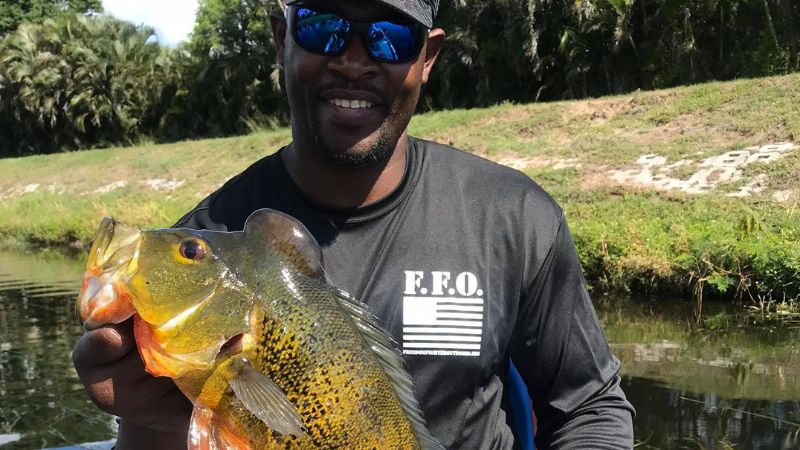 Lake Ida Peacock Bass Fishing