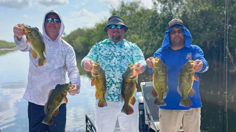 Florida Everglades Bass Fishing Capt DJ Timms