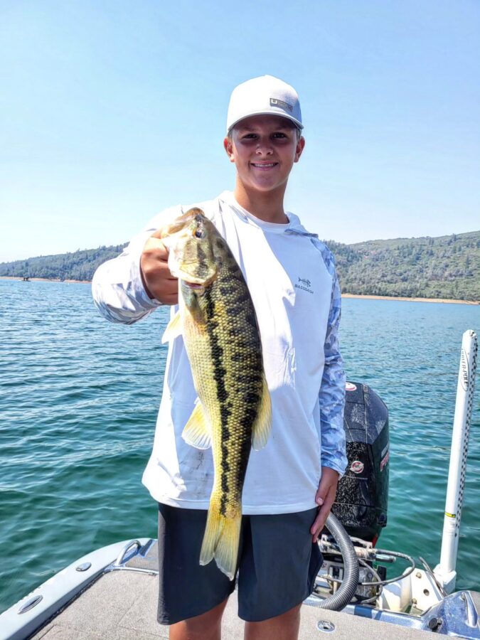 New Hogan Lake photo