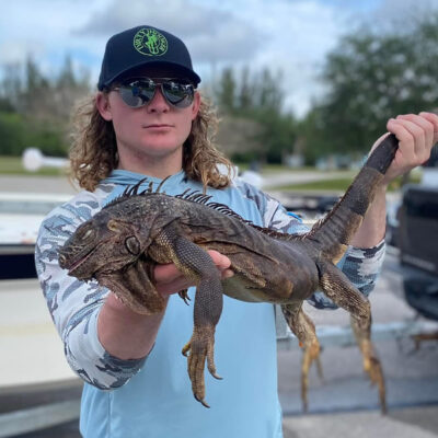 Iguana Hunting in Florida