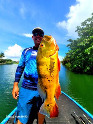 Peacock Bass Fishing Trip