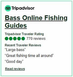 BOL tripadvisor 2026