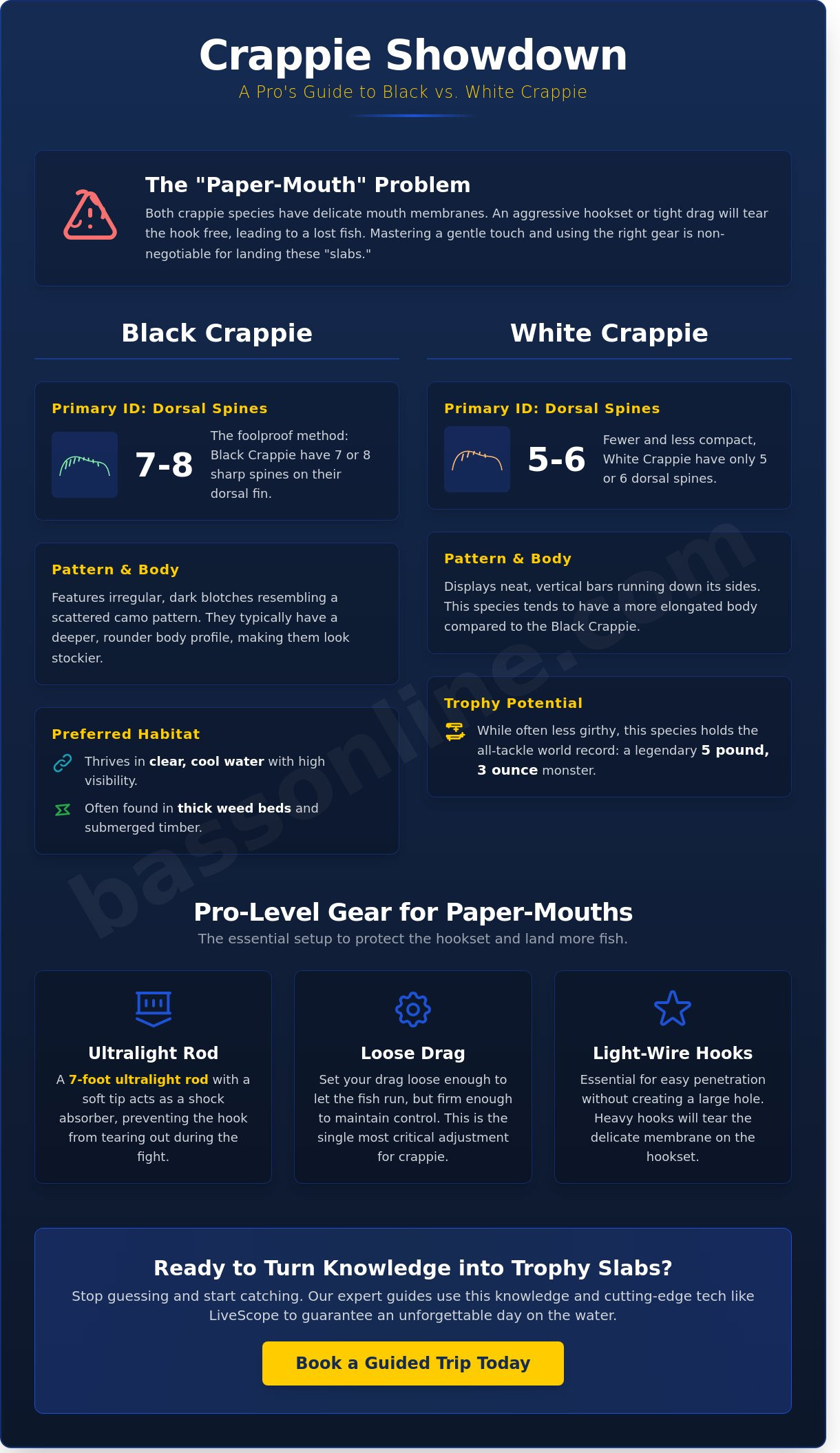 Crappie Fishing Guide: Mastering the Art of Catching Slabs in 2026 2 Crappie Fishing Guide: Mastering the Art of Catching Slabs in 2026