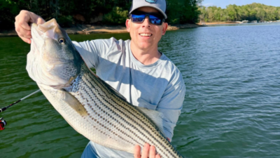 Lake Hartwell Striper Fishing