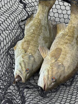 8-Hour Fishing Trip