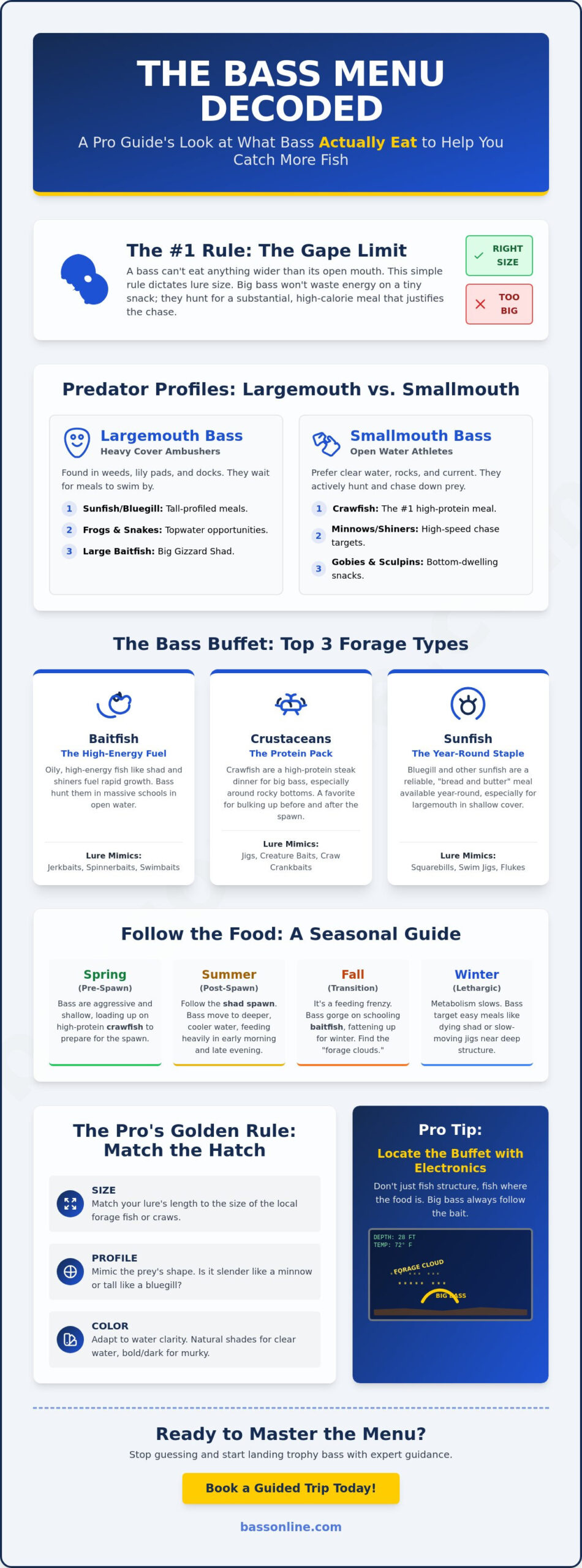 What Do Bass Eat? A Pro Guide’s Look at the Natural Bass Diet (2026)