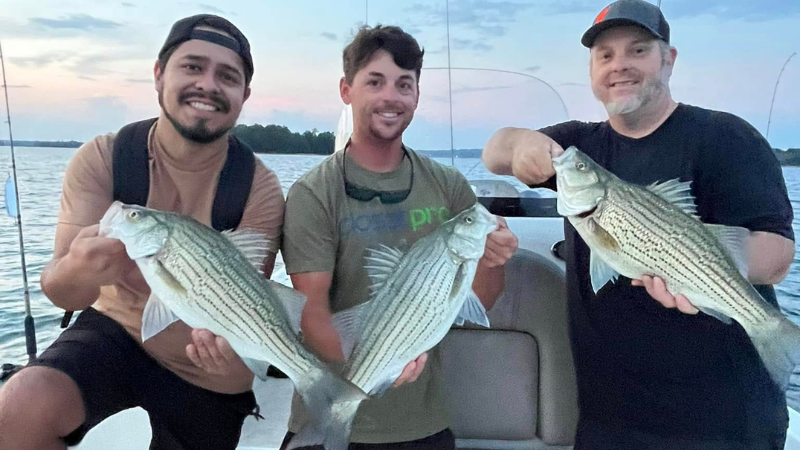 Fishing Lake Hartwell Striped Bass