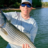 Lake Hartwell Fishing Charters