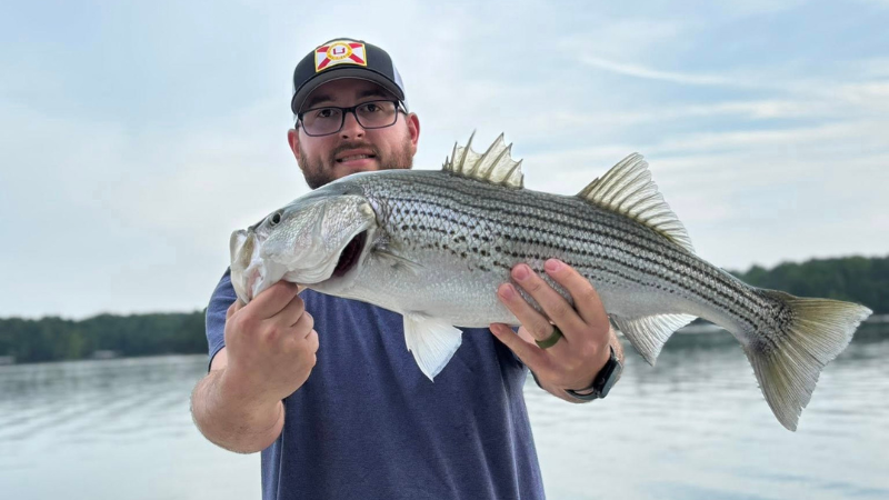 Lake Hartwell Fishing Trips