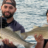 Lake Hartwell Striped Bass Fishing Charters